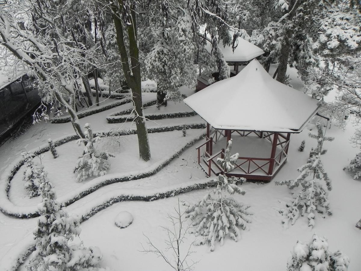 Отель Hotel Baneasa Parc Бухарест