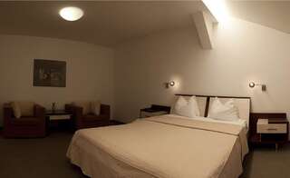 Отель Hotel Baneasa Parc Бухарест Двухместный номер с 1 кроватью, вид на сад-4
