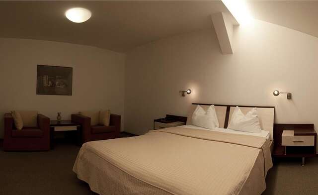 Отель Hotel Baneasa Parc Бухарест-16