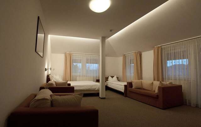 Отель Hotel Baneasa Parc Бухарест-17