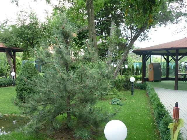 Отель Hotel Baneasa Parc Бухарест-29
